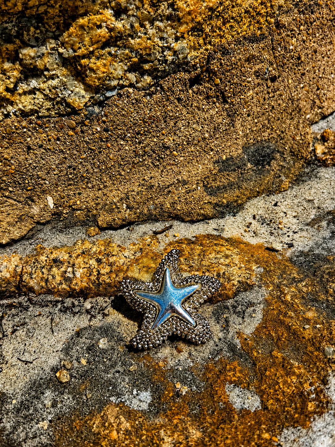 VINTAGE SILVER TEXTURED STAR FISH BROOCH PIN