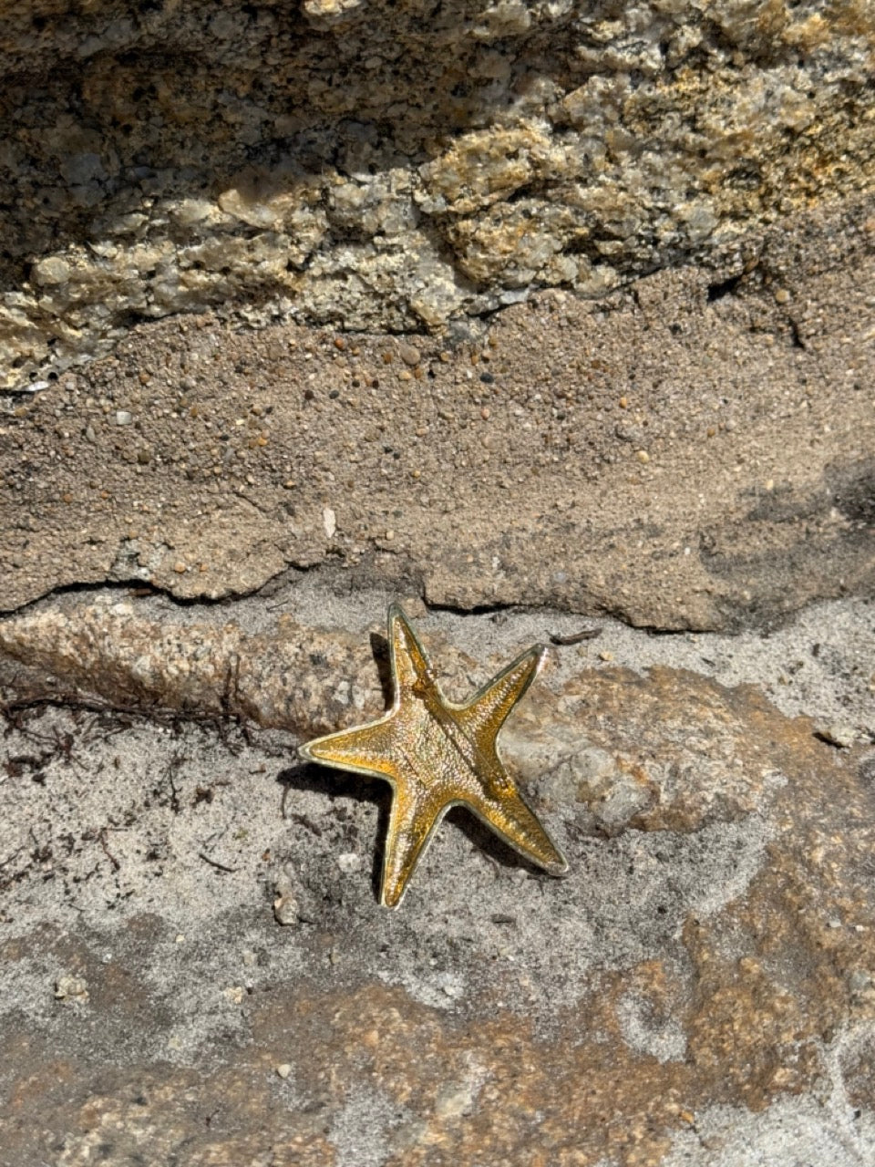 GOLD VINTAGE CENTER CRYSTAL STARFISH BROOCH PIN